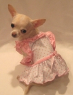 maran dress